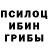 Псилоцибиновые грибы Cubensis LesterGreen