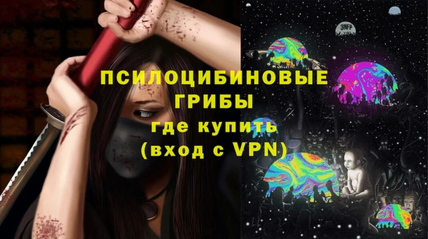 мдпв Переславль-Залесский