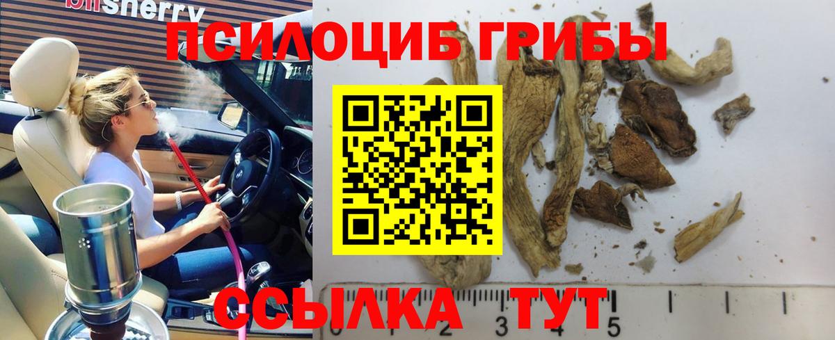 Псилоцибиновые грибы мухоморы  купить   Вязьма 