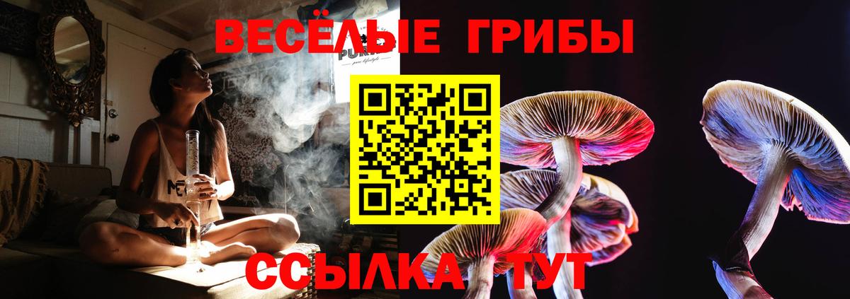 Вязьма  Псилоцибиновые грибы Cubensis  Вход с VPN  Псилоцибиновые грибы ЛСД 
