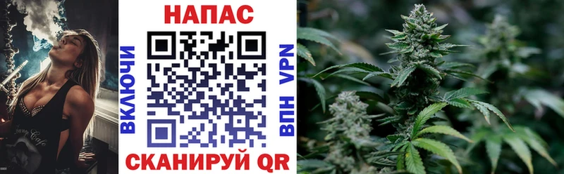 MEGA как войти  где можно купить наркотик  Вязьма  Конопля конопля 